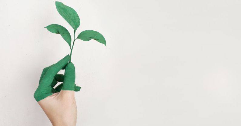 Sustainability - Person's Left Hand Holding Green Leaf Plant